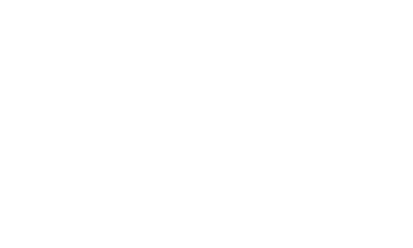 ISDC 2025 White